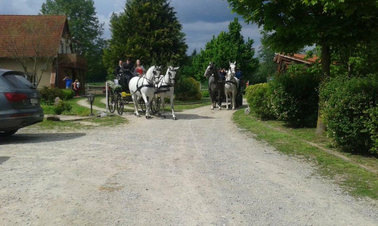 Bed and Breakfast Hartmann Panzio Barcs Esterno foto